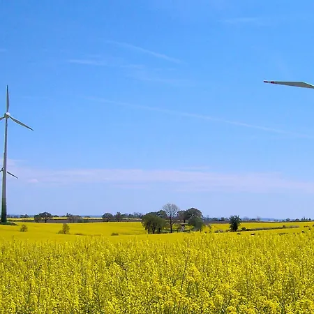 Tatil Evi 4 Person In Grömitz